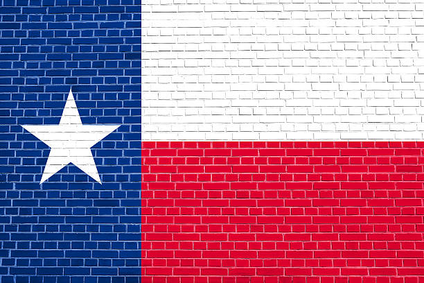 istock Flag of Texas on brick wall texture background 613103682