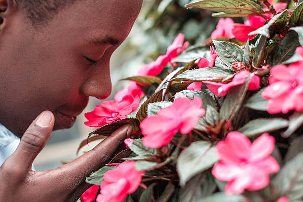 istock man  sniffing the flowers 613105436