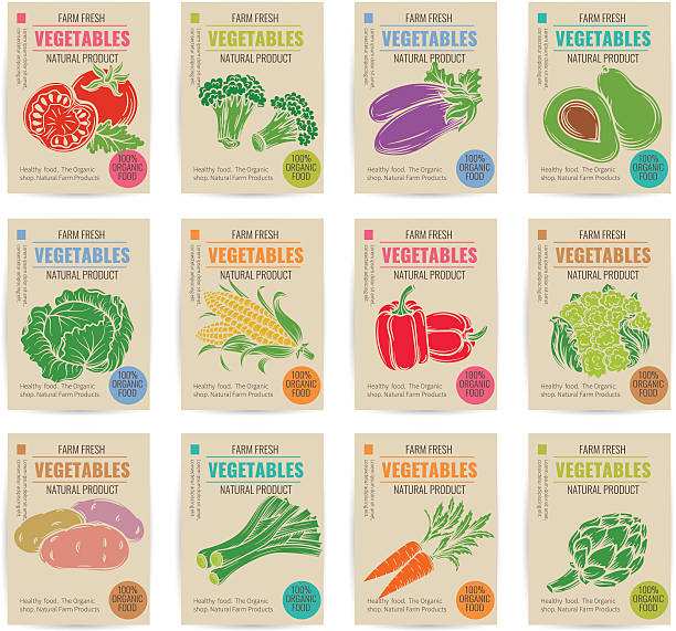 ręcznie rysowane plakaty warzywne zestaw. - artichoke food vegetable freshness stock illustrations