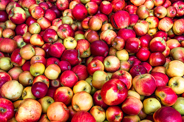 istock Apples in Market 613108382