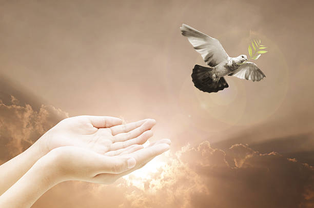istock Hand releasing a bird into the air on sky background 613112710