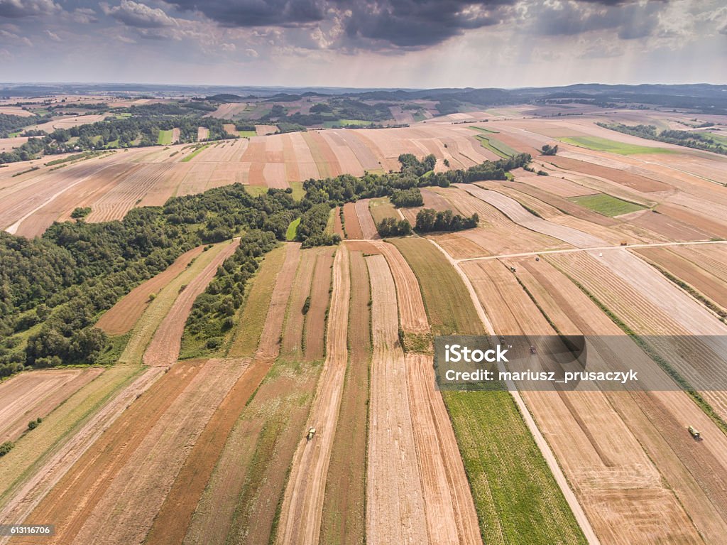 Aerial view of the blue sky and village harvest fields Aerial view of the blue sky and village harvest fields at summer time in Poland Above Stock Photo
