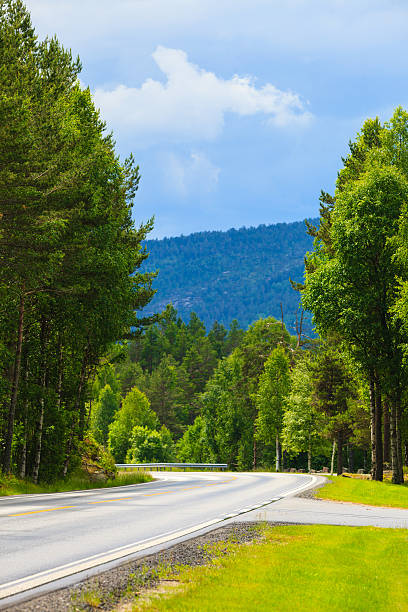 istock Road landscape in norwegian mountains 613118290