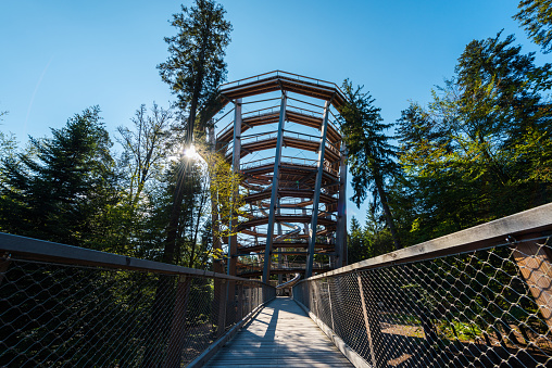 wooden footbridge and lookout in forest