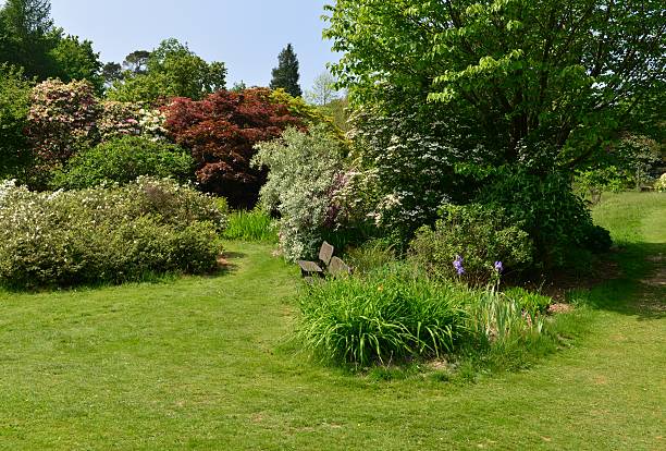 istock English country garden 613121044