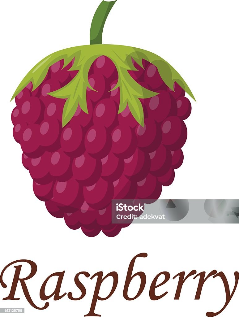 Illustrated Raspberry Ripe Raspberry Vector Illustration Stock Illustration - Download Image ...