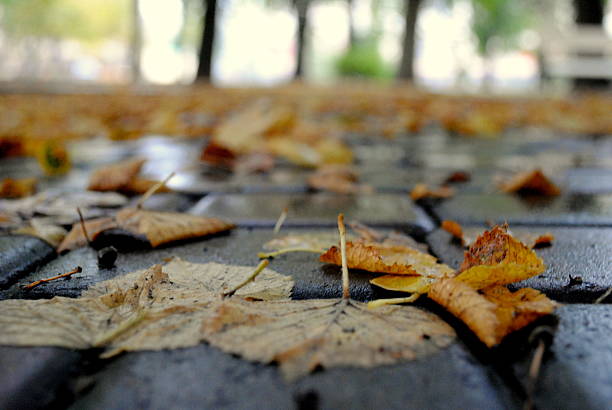 istock Walking in the autumn park 613126790