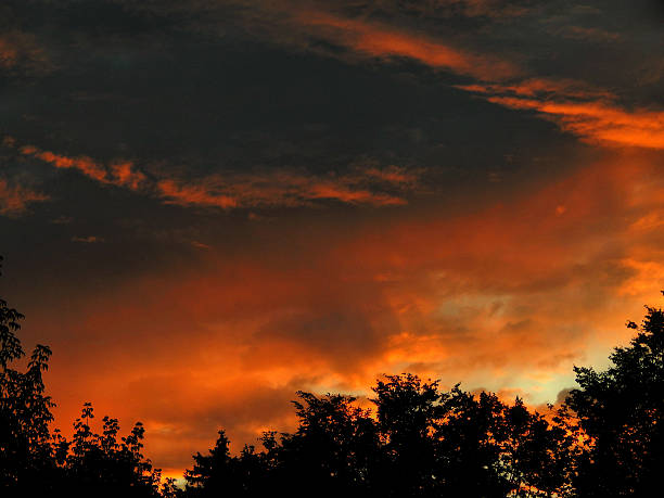 Beautiful pink evening sunset after the rain
