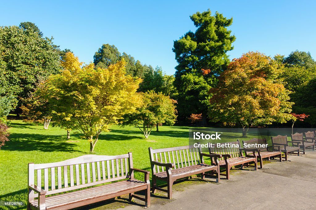 Public Roath Park in Autumn Public Roath Park with a row of benches and beautiful trees during a sunny morning at the beginning of autumn. Cardiff - Wales Stock Photo