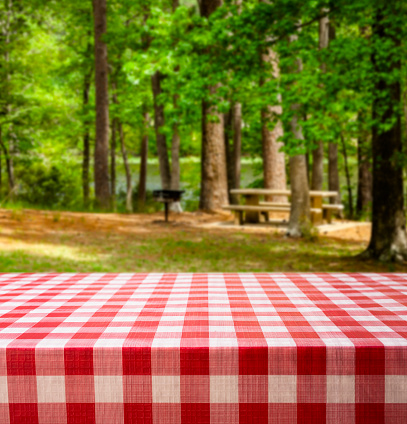 Beautiful wooded area of a park with lake in background.  Many hardwood trees surround picnic tables in the forested area.  An empty picnic table in foreground with red checked tablecloth.