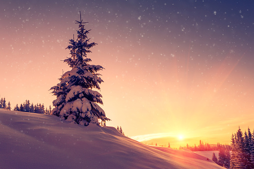 Beautiful winter landscape in mountains. View of snow-covered conifer trees and snowflakes at sunrise. Merry Christmas and happy New Year Background. Retro style. Instagram toning.