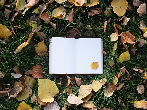 September, Back to School, Outdoors, Book, note pad