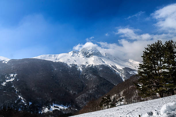 istock winter day in the forest road stand in navarra 613137656