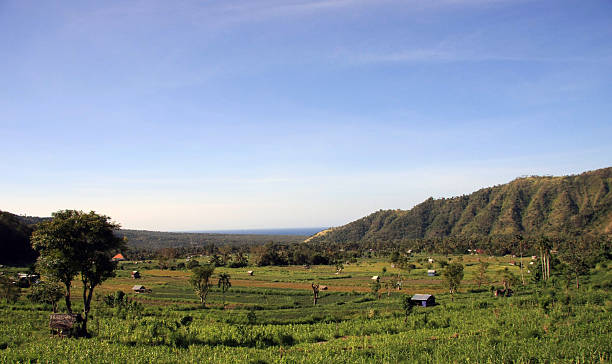 istock Bali view of countryside and fields growing crops 613138600