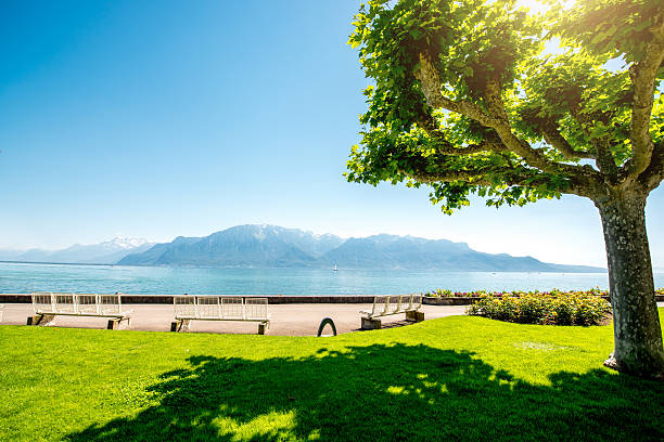 Park with beautiful trees on Geneva lake in Switzerland