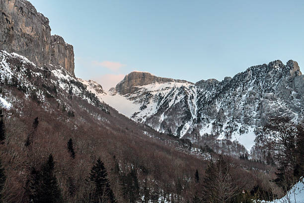 istock winter day in the forest road stand in navarra 613139376
