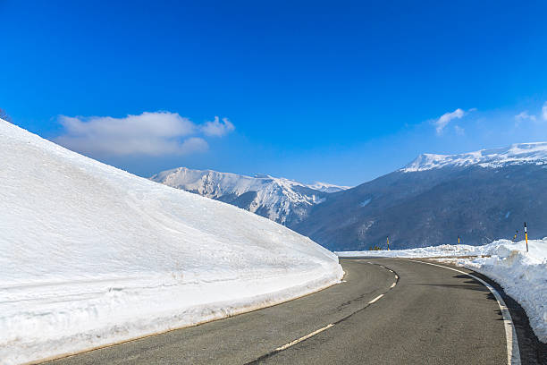 istock winter day in the forest road stand in navarra 613139808