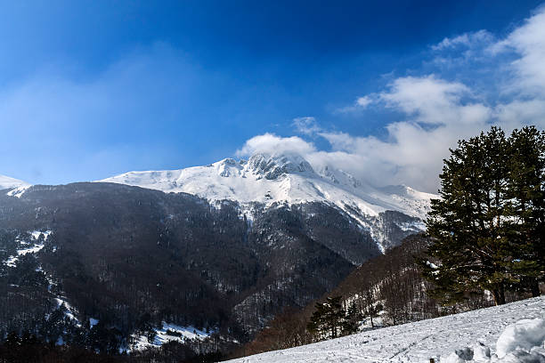 istock winter day in the forest road stand in navarra 613140366