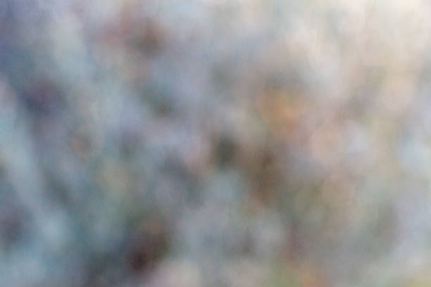 Natural Sunlight Bokeh and Blurry Background Stock Photo