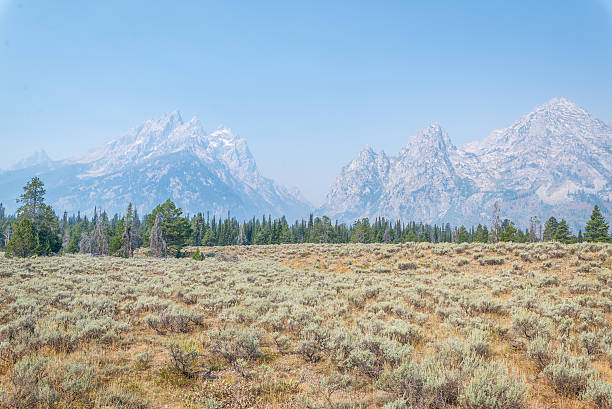 istock Grand Teton Mountains 613143094