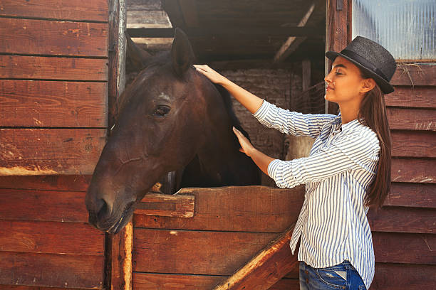 istock Young woman stroking a brown horse. 613143110