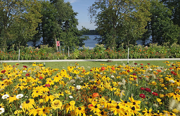 istock colorful flowers from northern germany 613143790