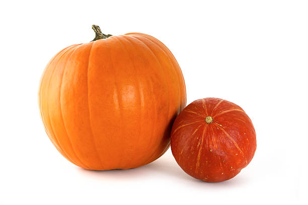 istock two pumpkins, orange and red for halloween isolated on white 613144866