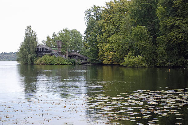 autumn at the pond
