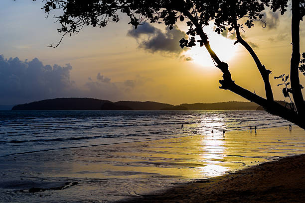 istock Silhouette of Tree and Sunset 613145770