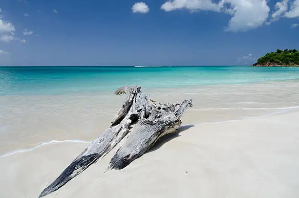 Drywood formations at Ffryes beach, Antigua and Barbuda