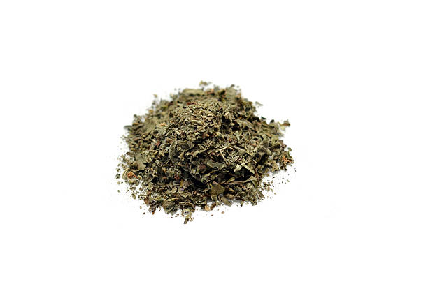 istock Heap of Oregano 613147608