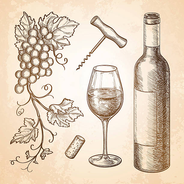 와인의 벡터 일러스트 - branch glass wine berry fruit stock illustrations