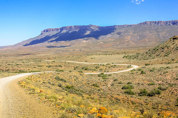 istock The African Safari 613208614