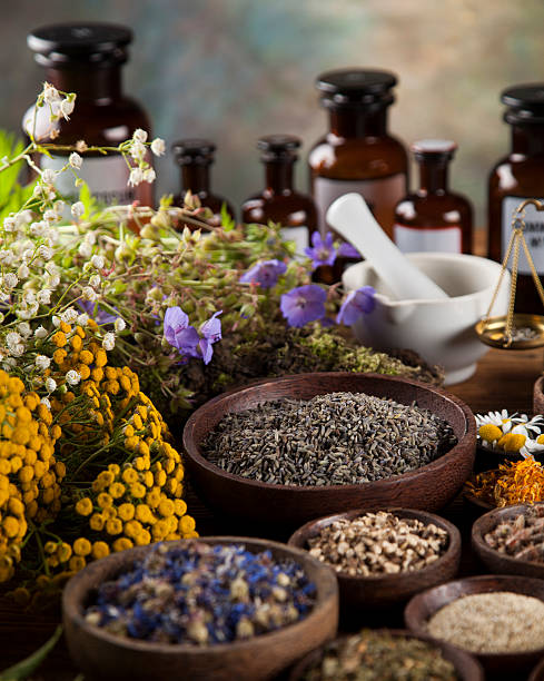 istock Healing herbs on wooden table, mortar and herbal medicine 613214480