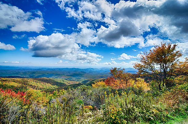 frühling in den malerischen blue ridge parkway appalachen smoky berg - mount mitchell stock-fotos und bilder