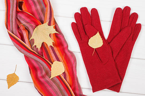 istock Gloves and shawl for woman on boards 613216338