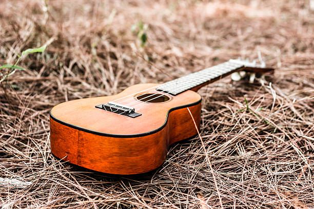 istock Wooden Ukulele old style 613217214