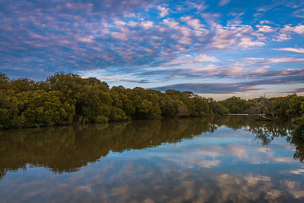 istock Colorful South Australian landscape at sunset at the river 613217794