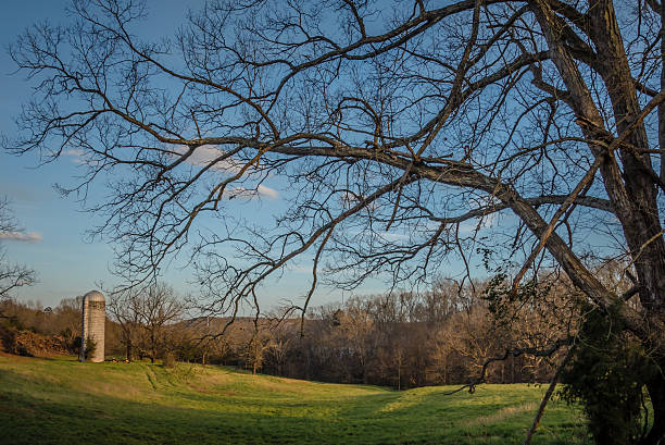 istock abandoned countryside farm in the afternoon 613217830