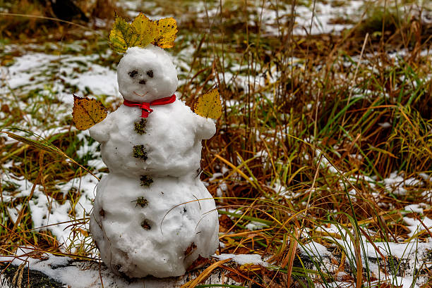 istock snowman first snow forest autumn 613218190
