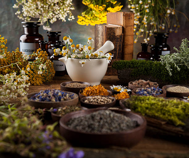 istock Assorted natural medical herbs and mortar on wooden table backgr 613219528