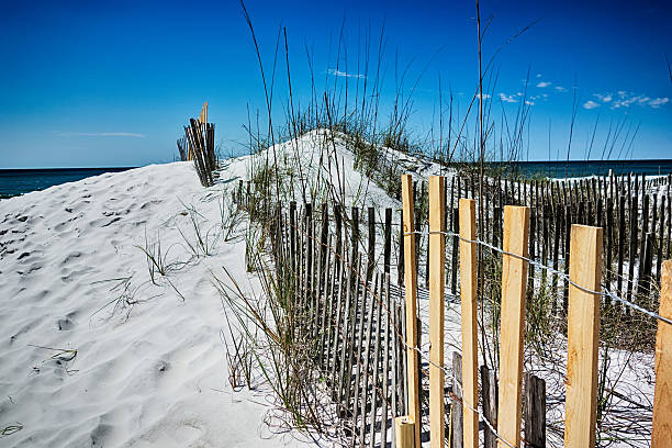 istock destin florida beach scenes 613221712