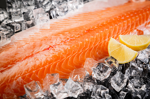 Fresh Salmon Fish  on the Black Background