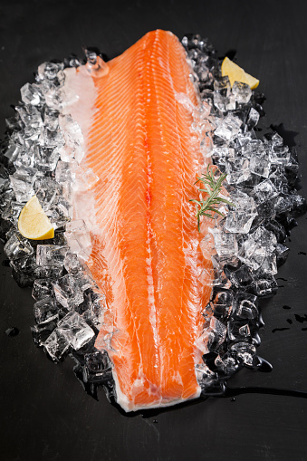 Fresh Salmon Fish  on the Black Background