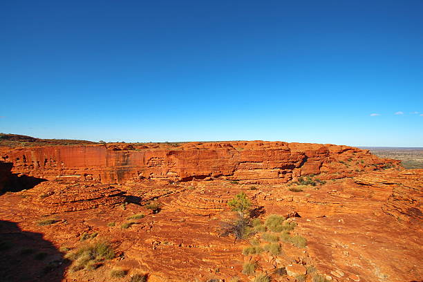 istock Kings Canyon, Australia 613222800