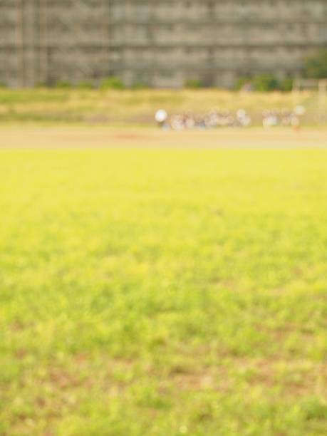istock Defocused boy baseball and family 613222872