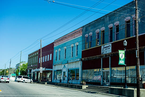istock scenery around florala alabama 613223090