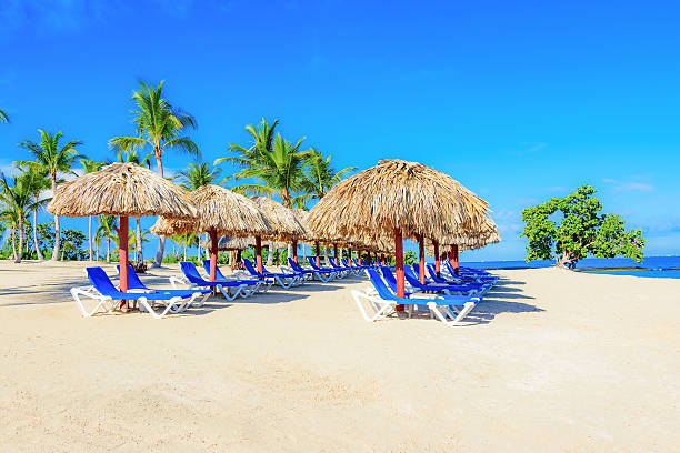 istock palm beach lounge chair 613225432
