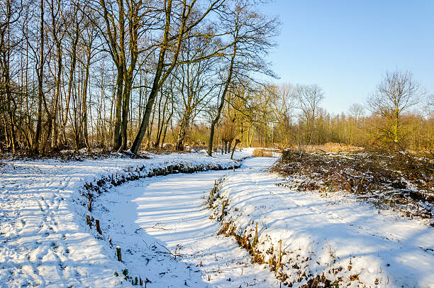 istock Snowy landscape with trees and a curved ditch 613225660