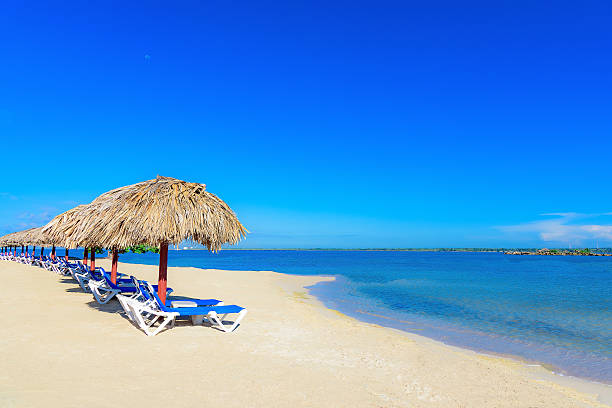 istock palm beach lounge chair 613225666